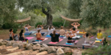 Incorporating Wellness Practices Into Your Busy Schedule